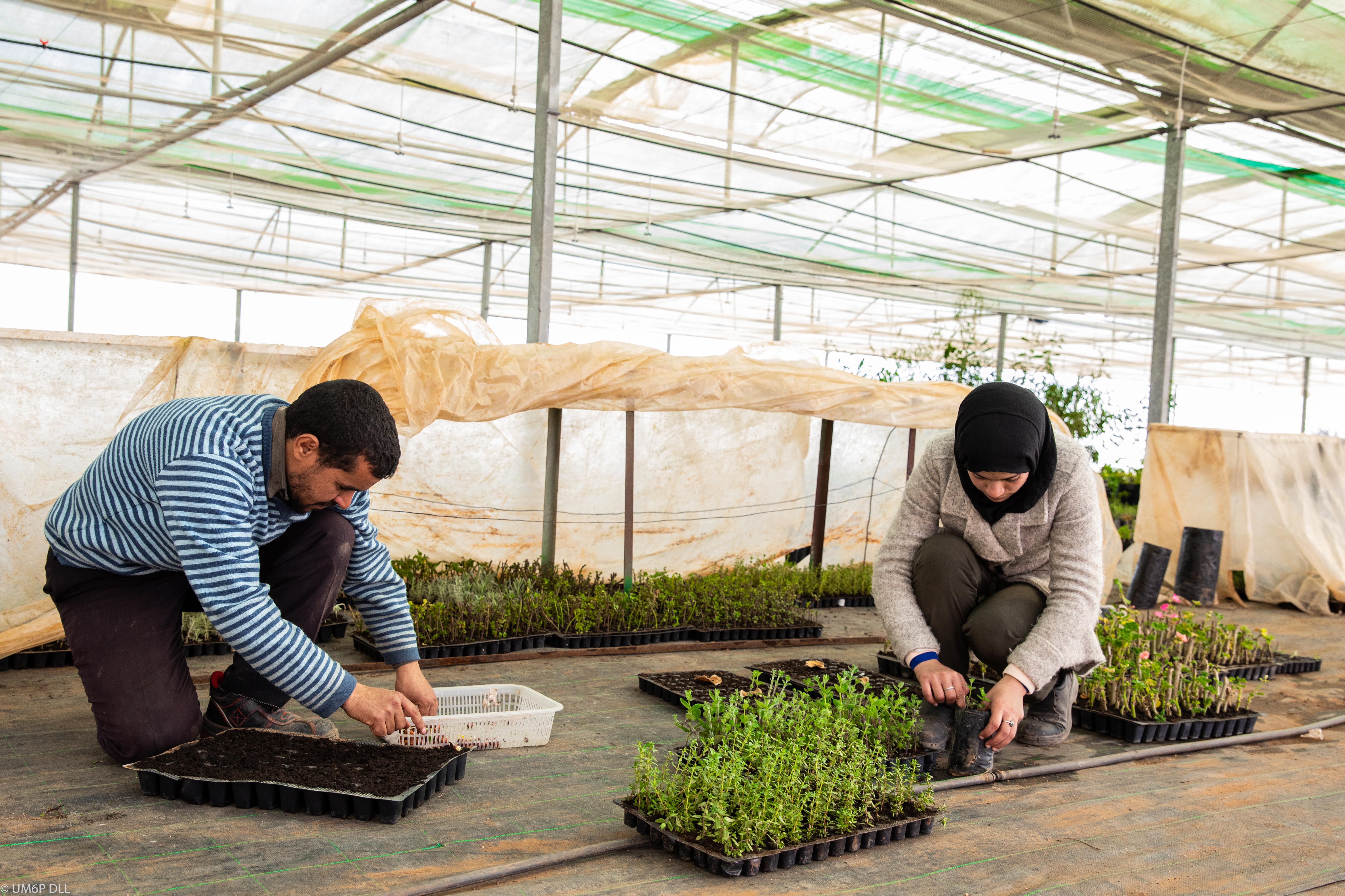 Recherche Agricole